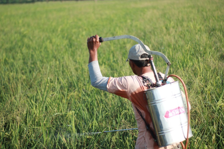 Syngenta adopte une nouvelle stratégie ESG axée sur la santé des sols