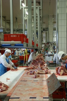 Liquidation de l’abattoir de Saint-Affrique : miroir des dérives de l’industrie agroalimentaire