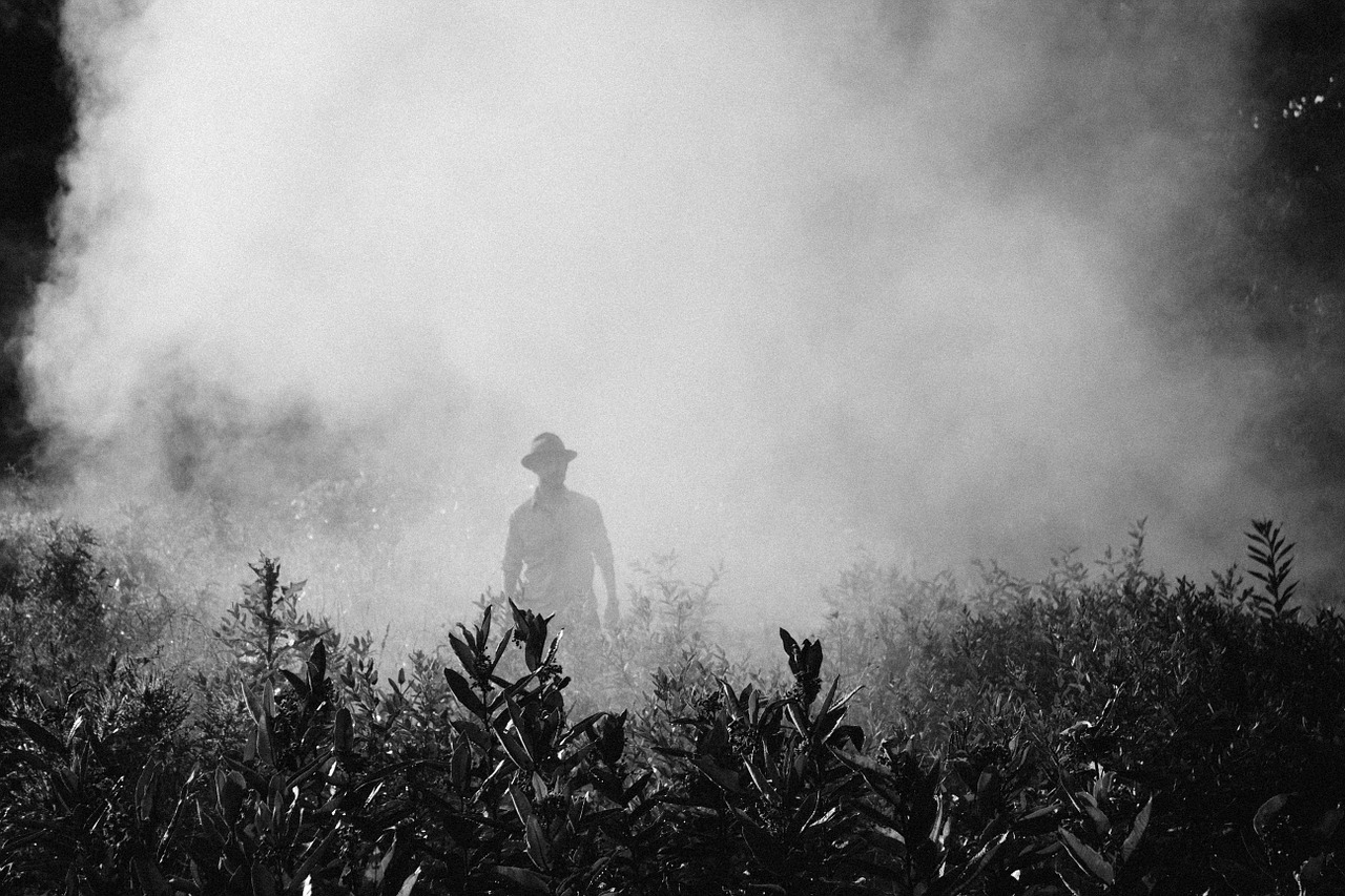 ​Pesticides : le projet du gouvernement n’a rien de révolutionnaire
