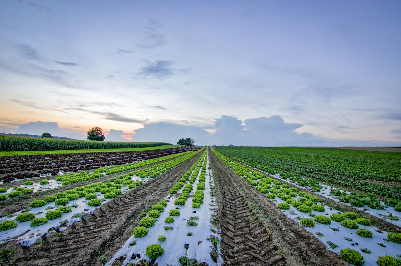 Principal Asset Management lance un Fonds mondial pour l’alimentation durable et la biodiversité