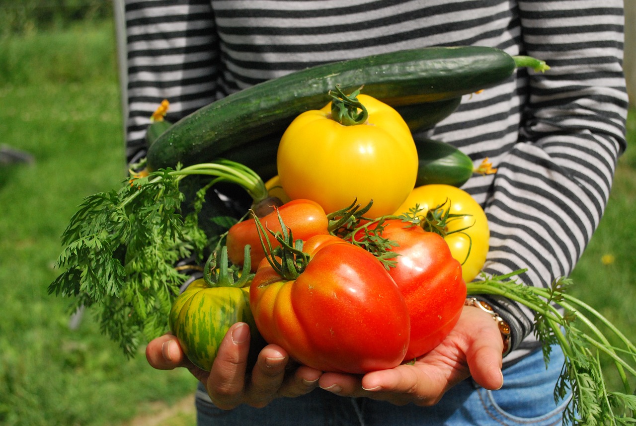 Gaspillage alimentaire : 35.000 tonnes de produits sauvés grâce à SOLAAL et ses partenaires en 2023