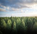 https://www.rse-magazine.com/Lutte-contre-la-deforestation-CNP-Assurances-s-interdit-d-investir-dans-davantage-de-secteurs_a5876.html
