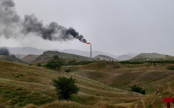 Industries extractives et forestières, des organisations appellent à plus de transparence