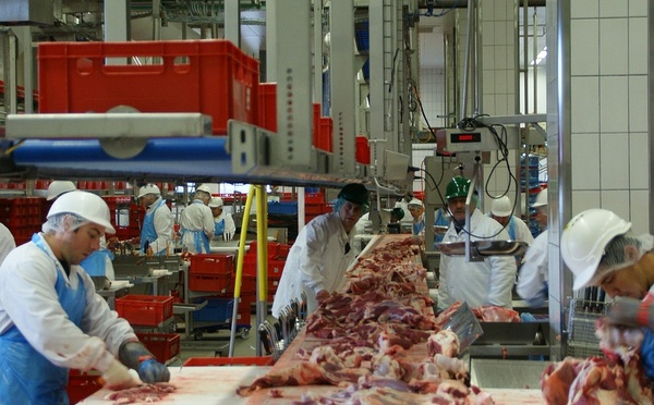 Liquidation de l’abattoir de Saint-Affrique : miroir des dérives de l’industrie agroalimentaire